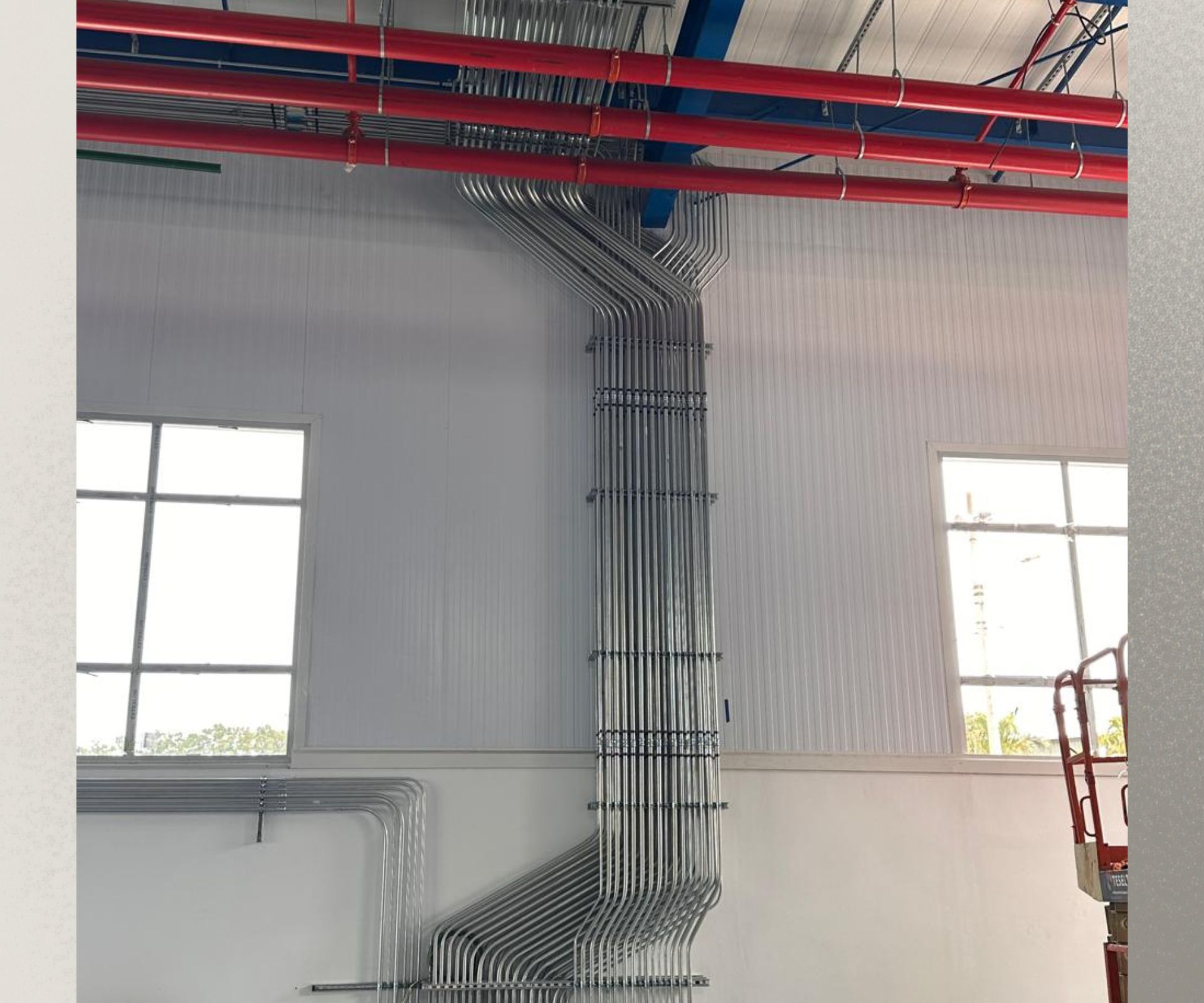 nuevaplantadecerveza